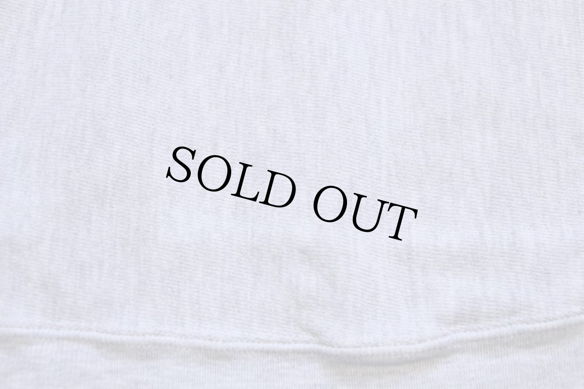 画像6: 90s メキシコ製 Championチャンピオン MICHIGAN LAW SCHOOL ひび割れプリント リバースウィーブ スウェット 杢グレー XXL★特大 (6)