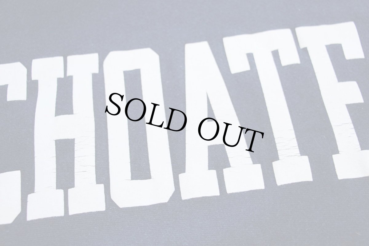 画像4: 90s メキシコ製 Championチャンピオン CHOATE ひび割れプリント リバースウィーブ スウェットパーカー 紺 M (4)