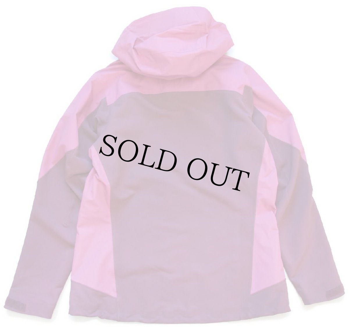 画像2: patagoniaパタゴニア Mixed Guide Hoody ミックス ガイド フーディー ナイロンパーカー RPK W-L (2)