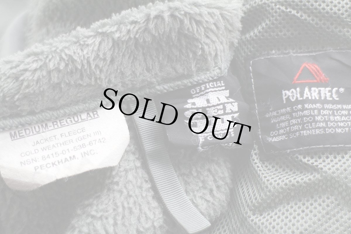 画像4: 00s 米軍 U.S.AIR FORCE パッチ付き ECWCS GEN3 LEVEL3 POLARTEC フリースジャケット フォリアージグリーン M-R★D (4)