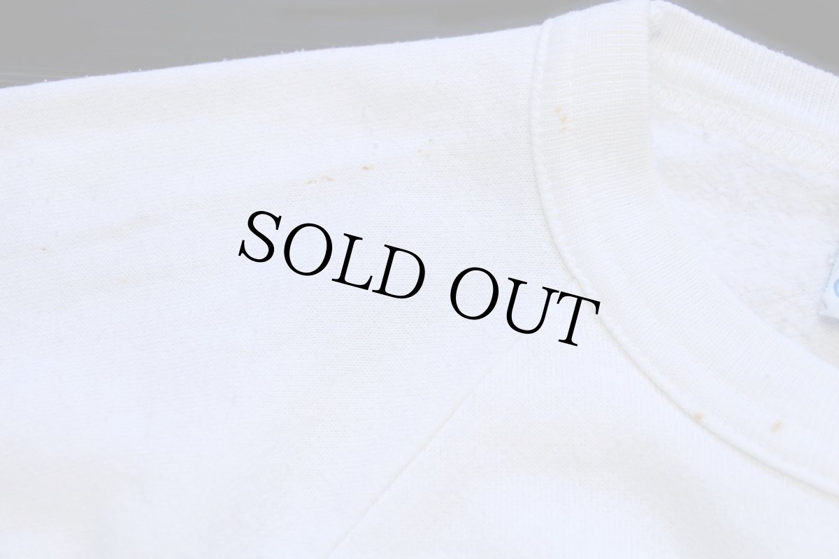 画像6: 80s USA製 BUD LIGHTバドライト SPUDS MACKENZIE スウェット 白 L★Budweiserバドワイザー (6)