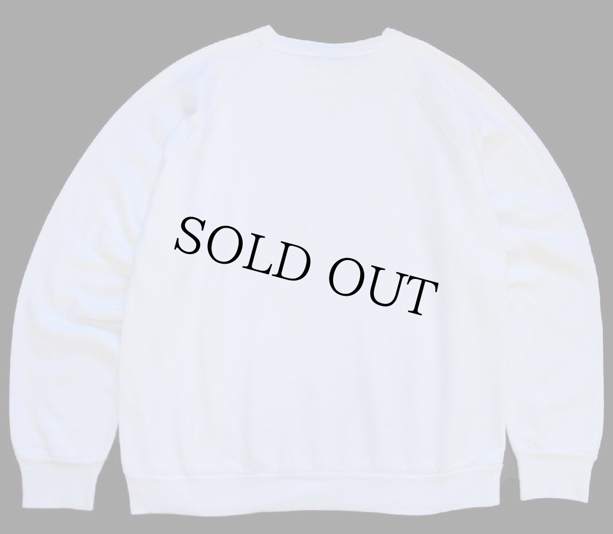 画像2: 80s USA製 BUD LIGHTバドライト SPUDS MACKENZIE スウェット 白 L★Budweiserバドワイザー (2)