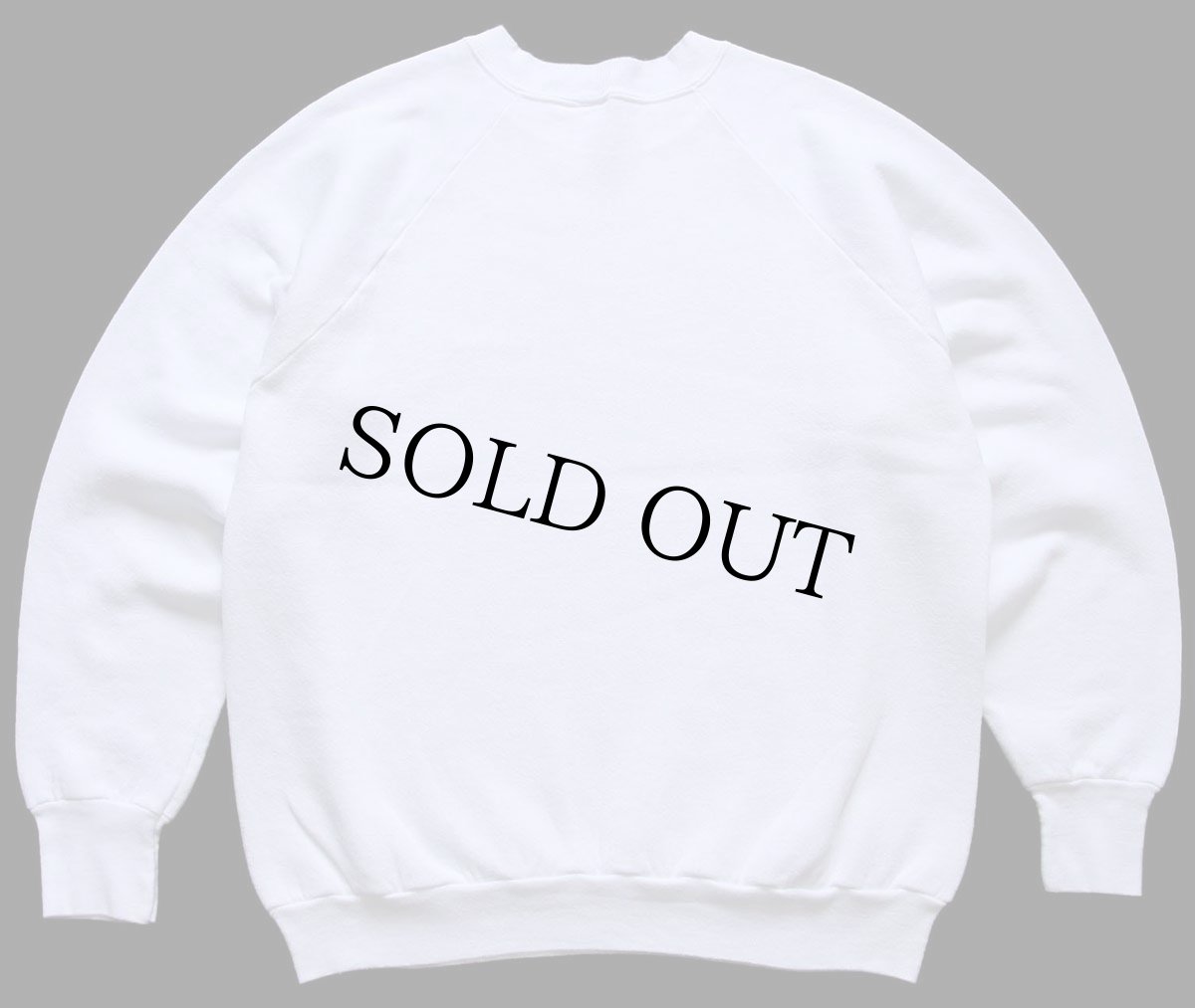 画像2: 90s 1972 1991 20th Anniversary 熱気球 アート スウェット 白 (2)