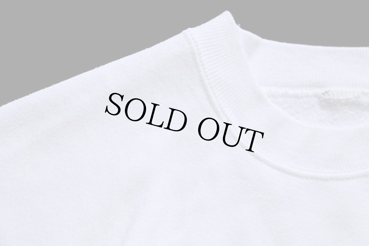 画像5: 90s 1972 1991 20th Anniversary 熱気球 アート スウェット 白 (5)