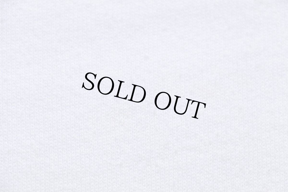 画像6: 90s 1972 1991 20th Anniversary 熱気球 アート スウェット 白 (6)