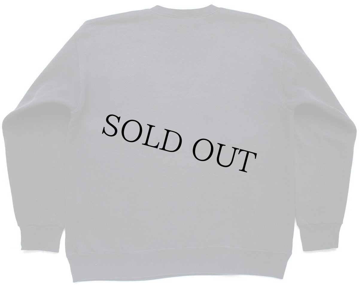 画像2: 90s USA製 NASCAR Dale Earnhardt INTIMIDATOR 3 スウェット 黒 フェード L (2)