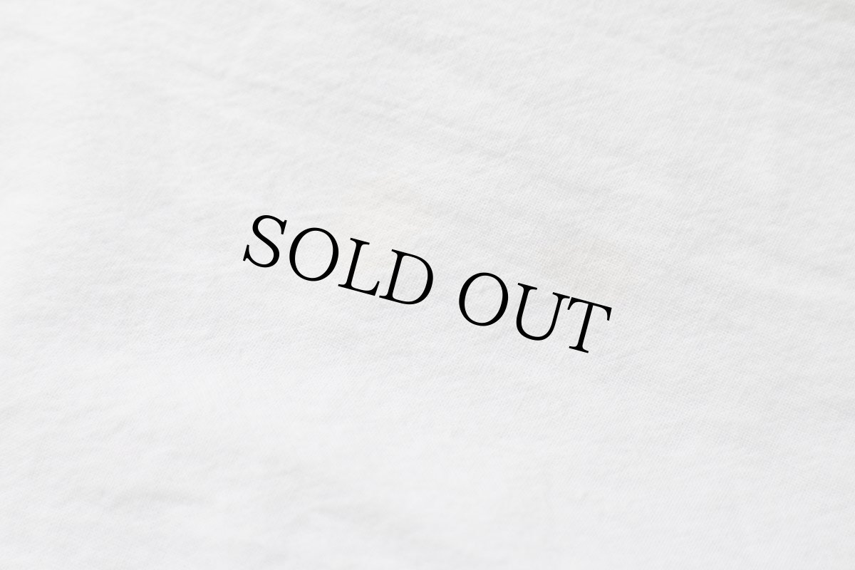 画像5: Corona MEMBER OF THE BEACH CLUB Puerto vallarta MEXICO ロゴ コットンパーカー 白 (5)