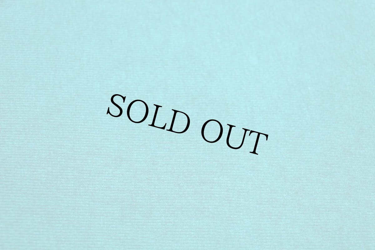 画像5: 90s USA製 Championチャンピオン 無地 目無し リバースウィーブ スウェット エメラルドグリーン L★ブランク (5)