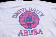 画像3: 80s UNIVERSITY ARUBA 蛍光プリント スウェット ボロ 白 M (3)