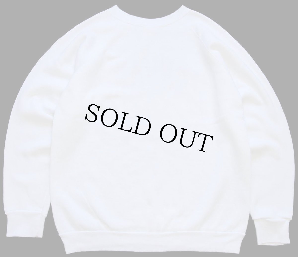 画像2: 80s USA製 Tultex HARVARD スウェット 白 L (2)