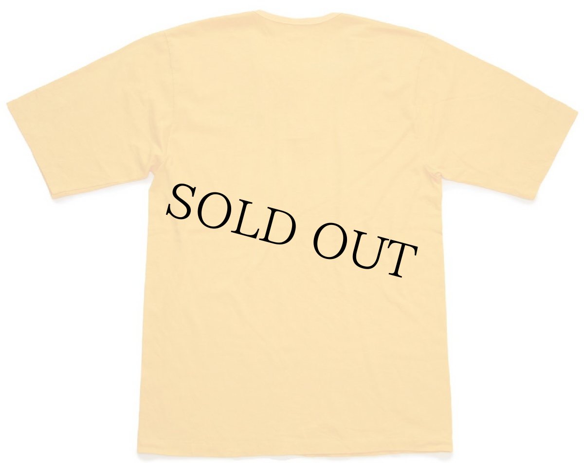 画像3: 80s IOWA HAWKS ヘンリーネック Tシャツ 濃黄 (3)