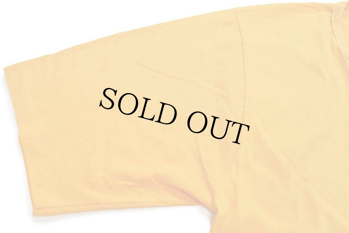 画像6: 80s IOWA HAWKS ヘンリーネック Tシャツ 濃黄 (6)