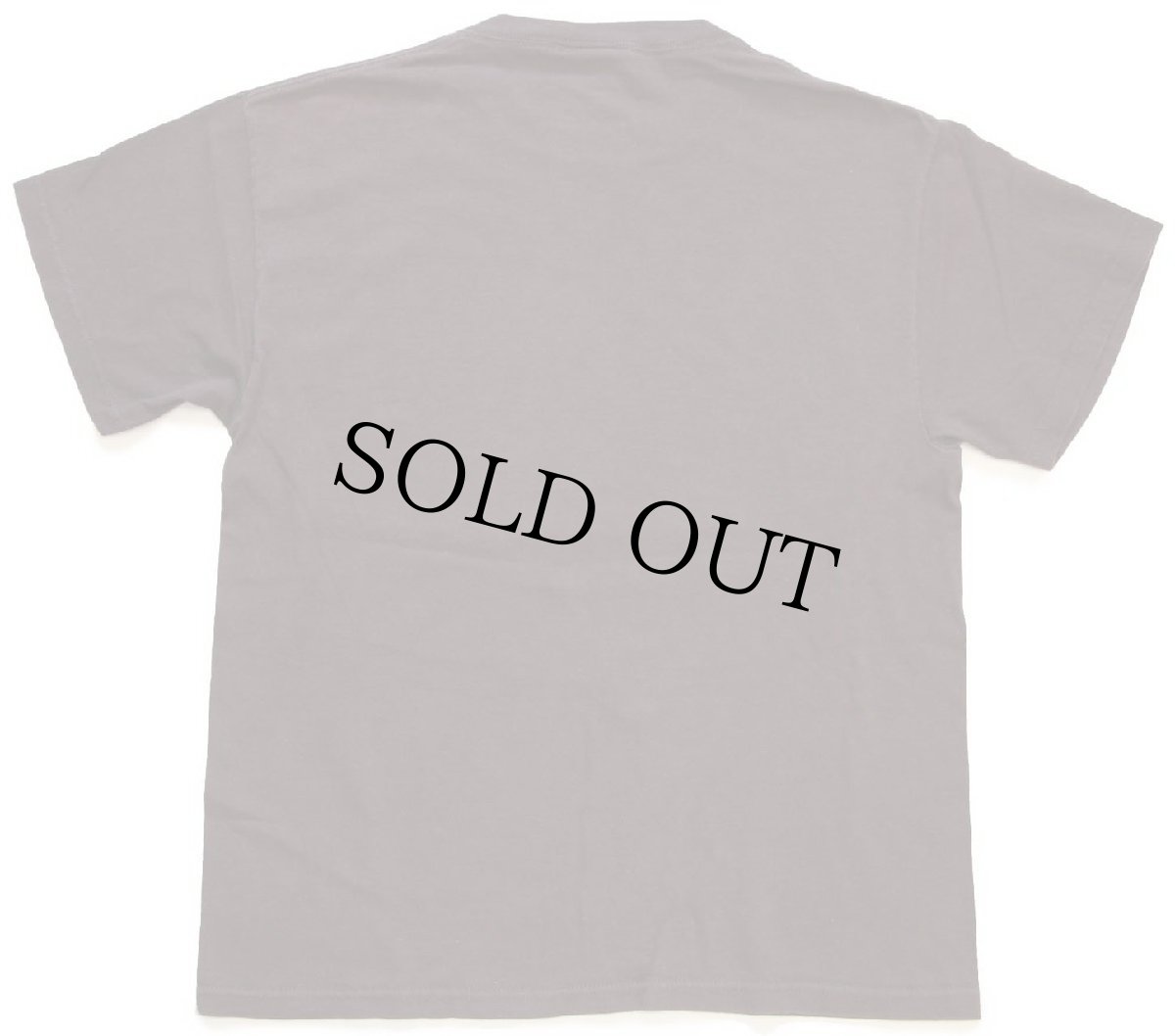 画像3: 00s JANIS JOPLIN ジャニスジョプリン コットンTシャツ 焦げ茶 (3)