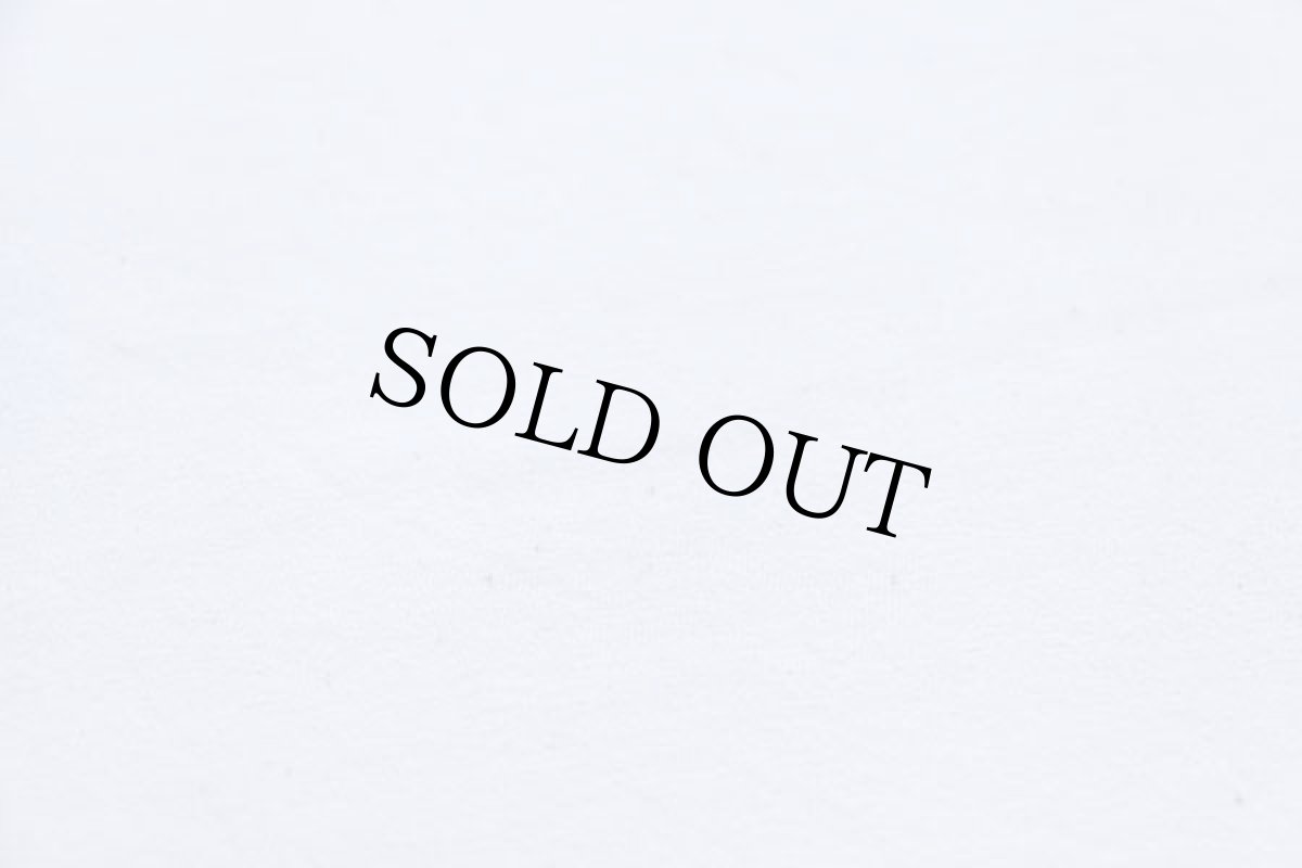 画像6: 00s Hanes HOLDER hp ロゴ コットンTシャツ 白 XL (6)