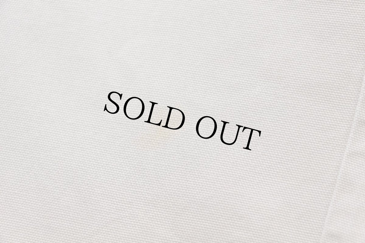 画像9: 90s patagoniaパタゴニア コットン キャンバス パンツ グレーベージュ 34 (9)