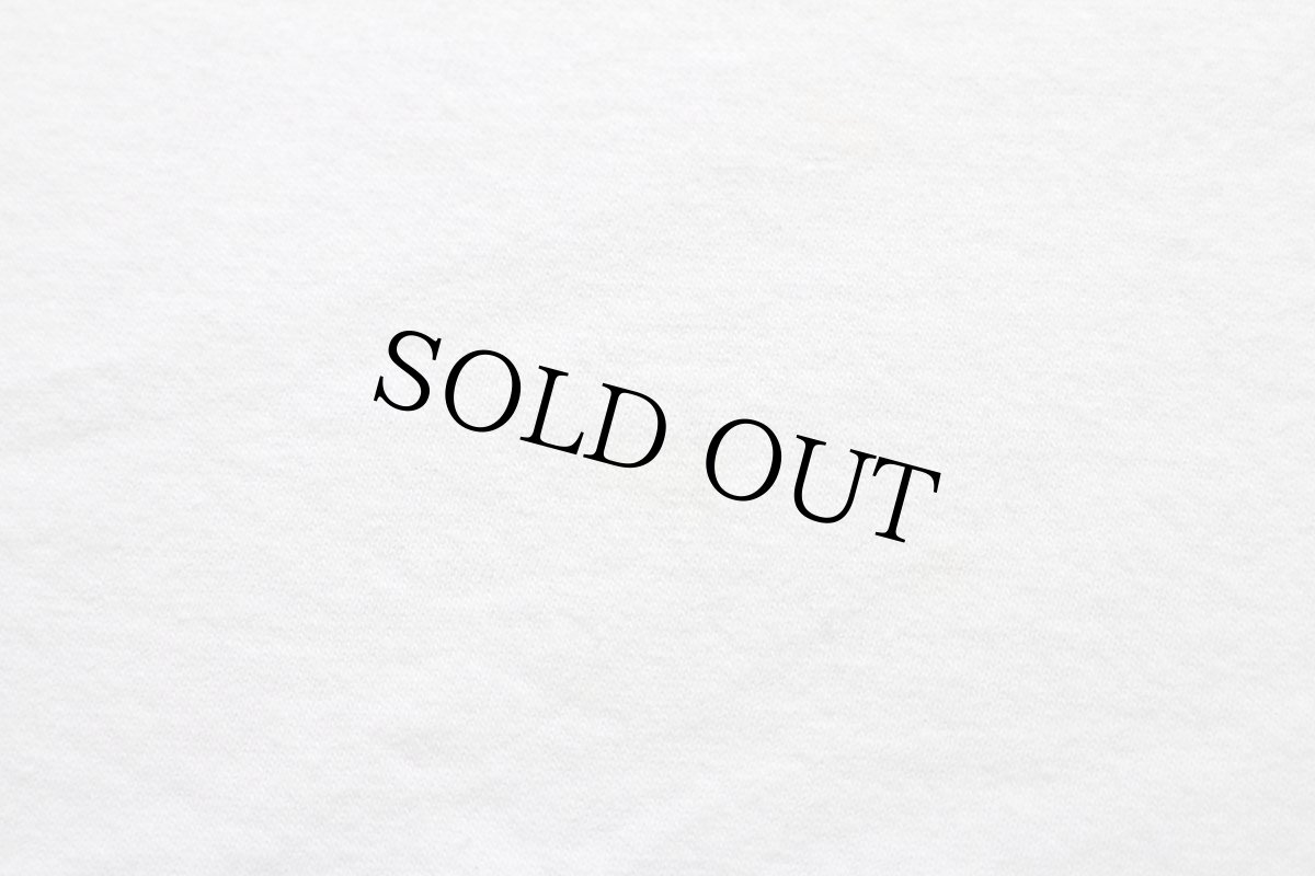 画像8: 90s USA製 LEHIGH UNIVERSITY BETHLEHEM PENNSYLVANIA コットンTシャツ 白 L (8)