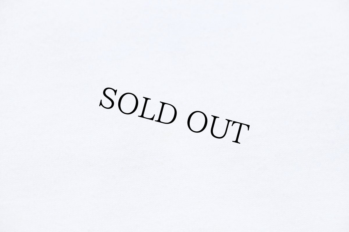 画像6: 00s 100% C.S.H.S. LEADER FROM HEAD... TO TAIL GATORS 両面プリント リンガーTシャツ 白×濃緑 (6)