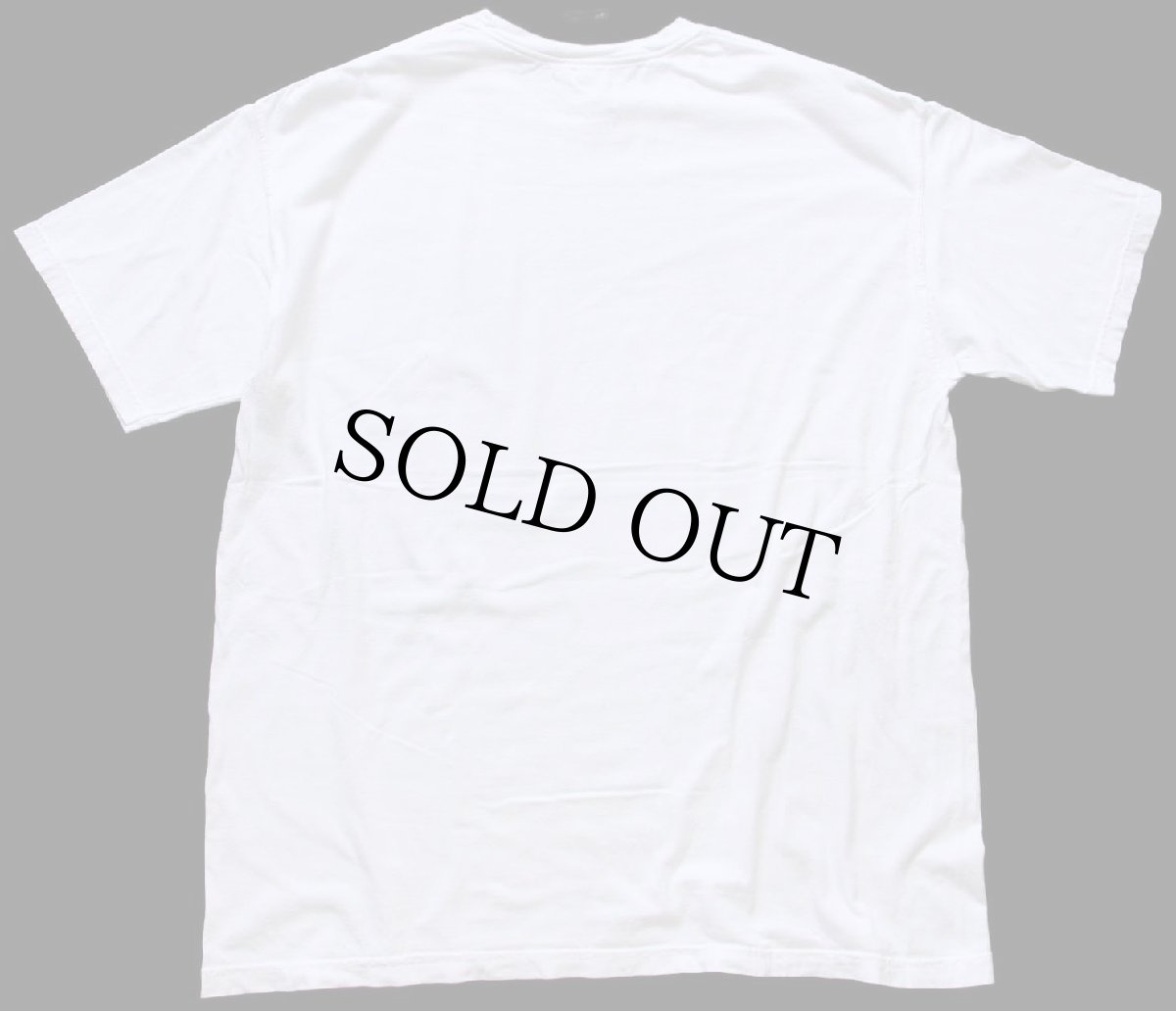 画像3: MAJOR THREAT SCREAMING ABOUT A WALL ドナルド トランプ イラスト コットンTシャツ 白 XL (3)