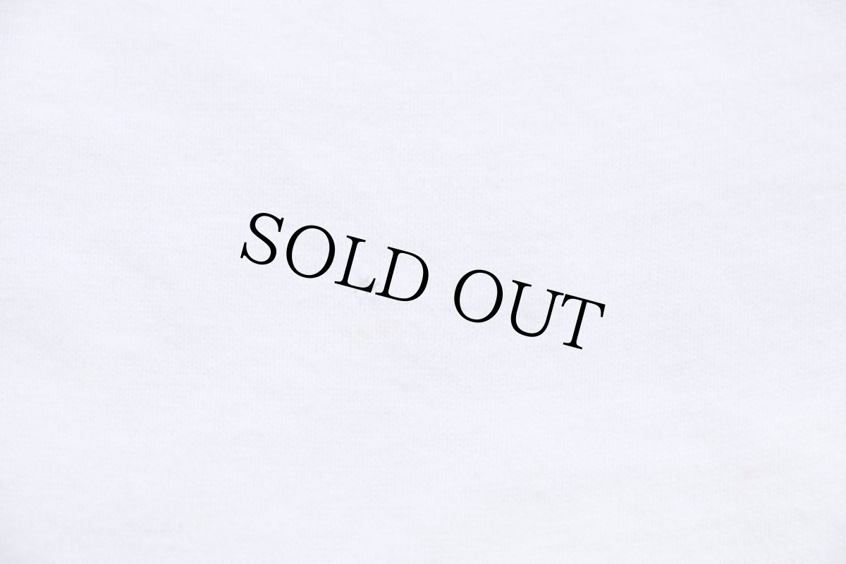 画像6: 90s Hanes 無地 コットンTシャツ 白 L (6)