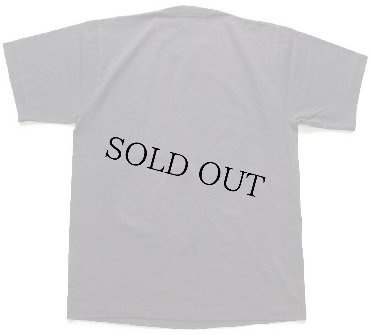 画像3: 90s USA製 CALIFORNIA カウスカル サボテン アート Tシャツ 黒 L (3)