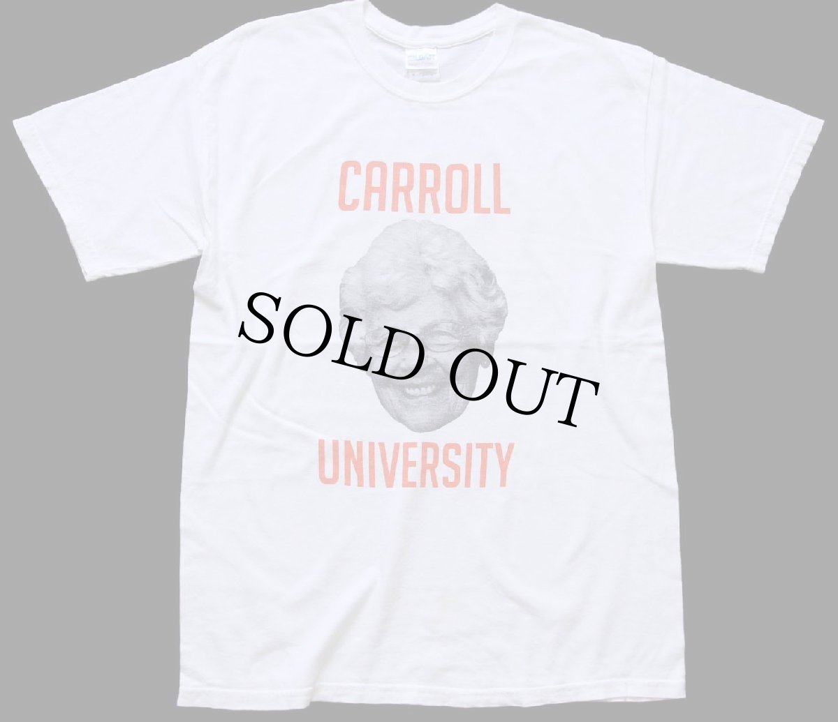画像2: 00s CARROLL UNIVERSITY GOT GERT? フォトプリント コットンTシャツ 白 M (2)