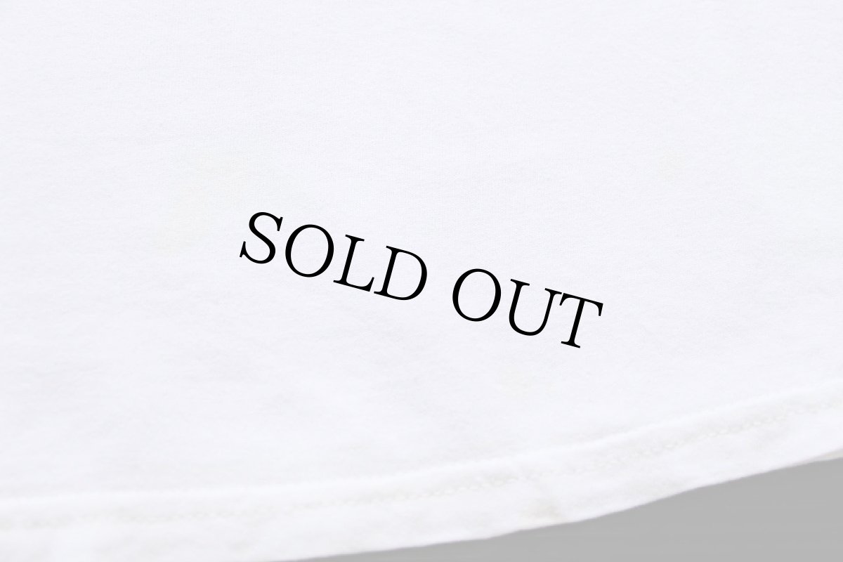 画像5: 00s CARROLL UNIVERSITY GOT GERT? フォトプリント コットンTシャツ 白 M (5)