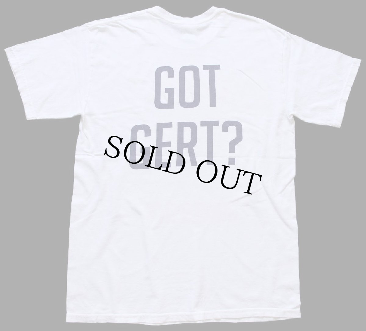 画像3: 00s CARROLL UNIVERSITY GOT GERT? フォトプリント コットンTシャツ 白 M (3)