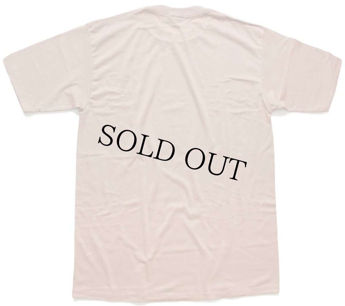 画像3: デッドストック★90s USA製 SUNBELT 無地 Tシャツ 薄茶 (3)