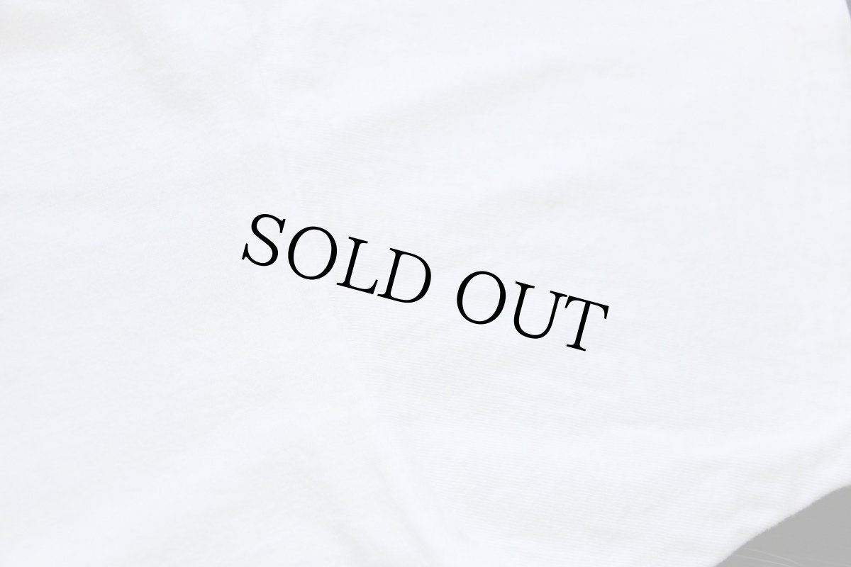 画像6: 90s ST.SIMONS ISLAND GEORGIA PLANET EARTH BIG HED designs アート コットンTシャツ 白 L (6)