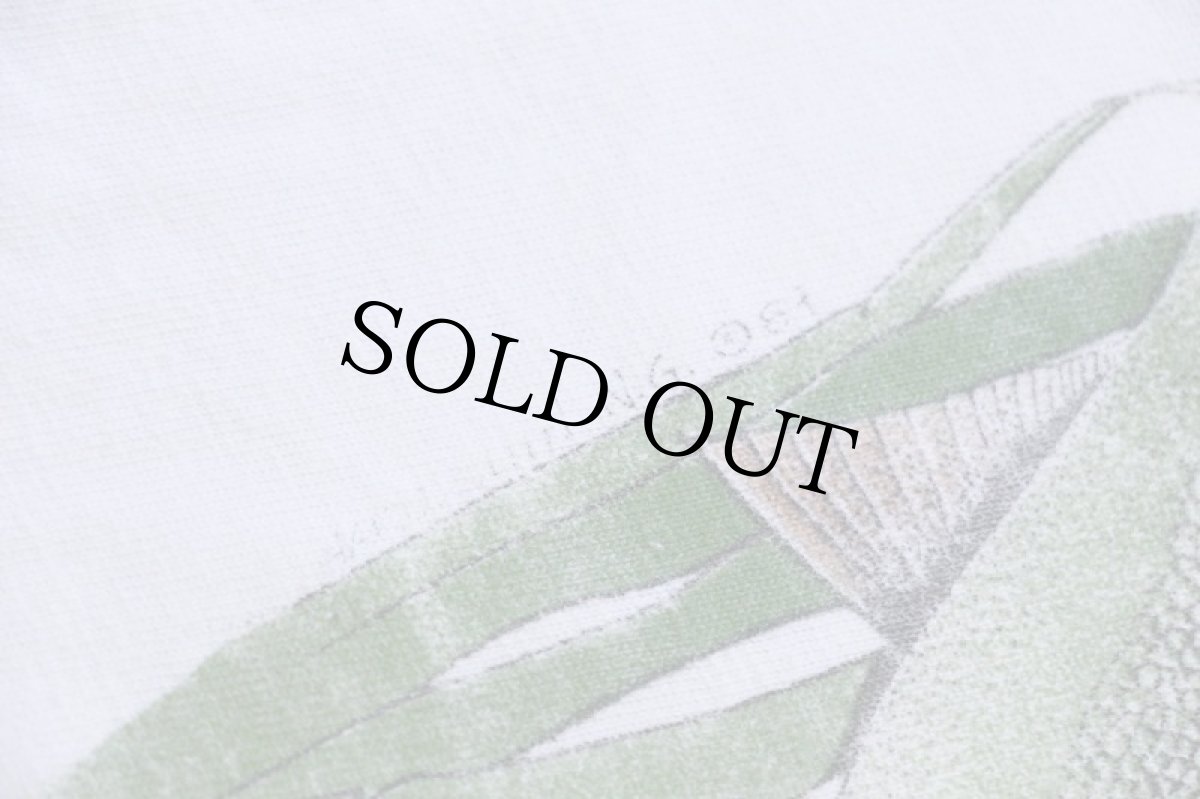 画像5: 80s USA製 Bass Pro Shops Catch-n-Release フィッシュ コットンTシャツ 白 L (5)