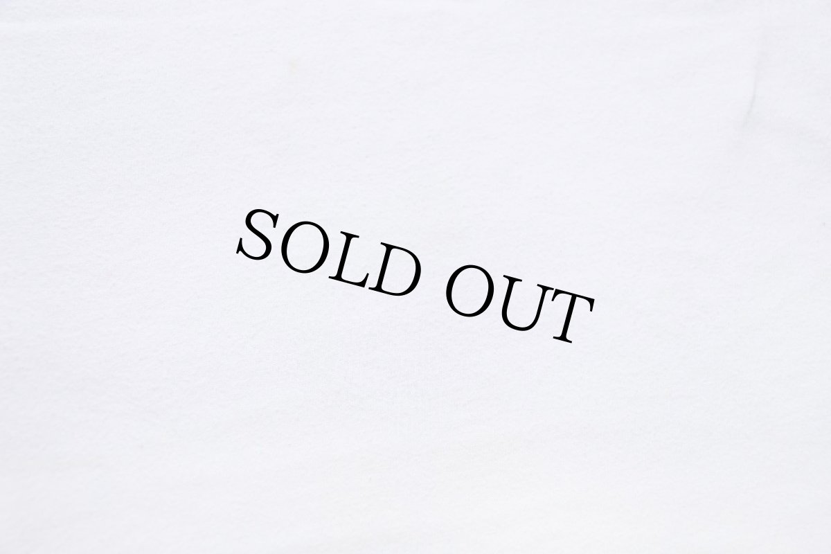 画像6: 90s USA製 T VIEW パソコン テレビ コットンTシャツ 白 L (6)