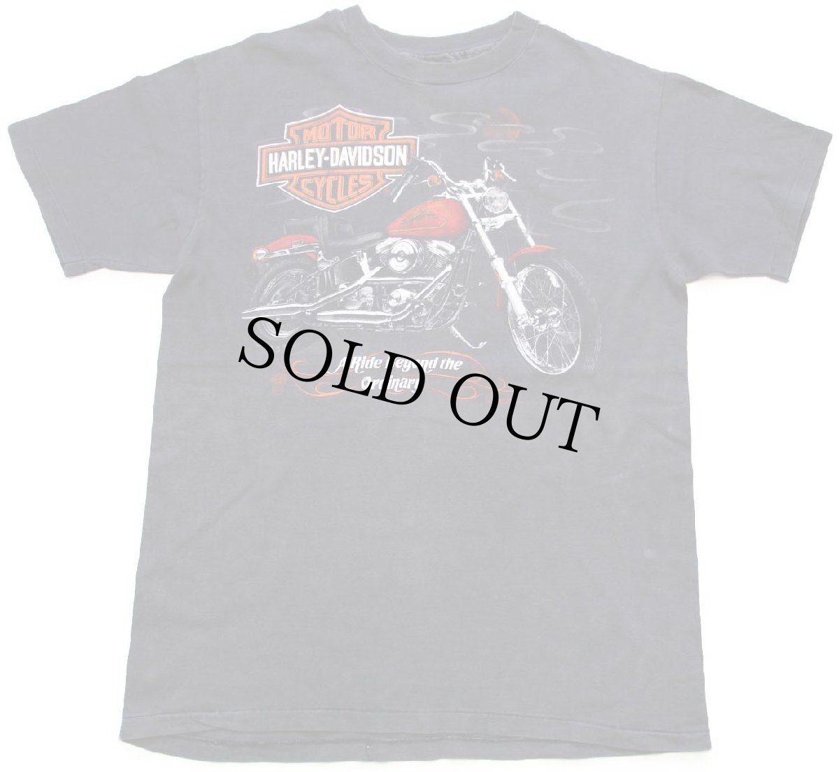 画像2: 80s HARLEY-DAVIDSON ハーレー ダビッドソン FLAGSTAFF ARIZONA 両面プリント コットンTシャツ 黒 フェード (2)