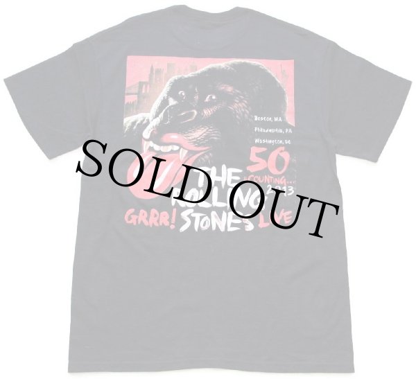 The Rolling Stones ローリングストーンズ FIFTY YEARS LIVE 2013 両面