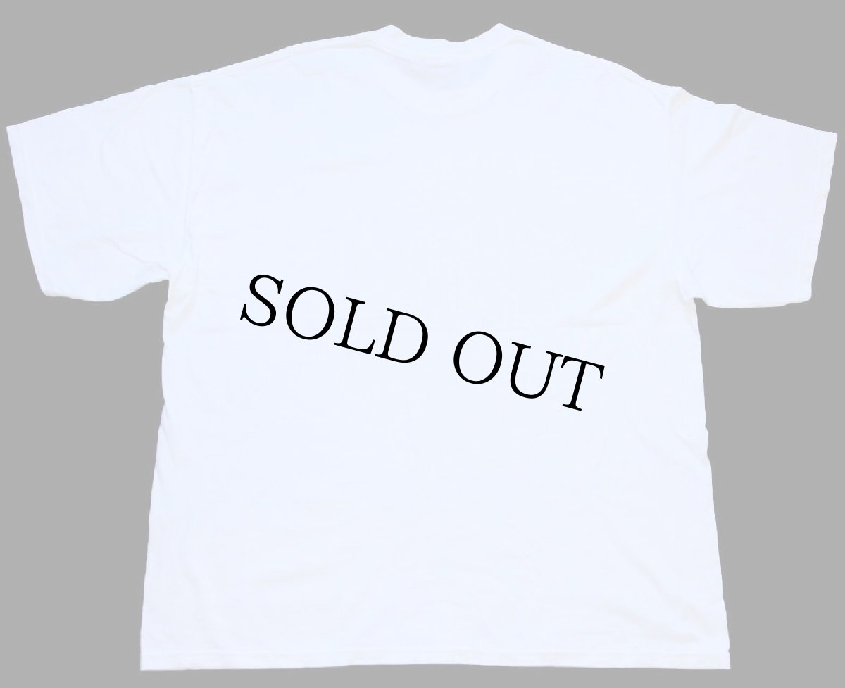 画像3: 00s UPS ビッグロゴ コットンTシャツ 白 XXL★特大 (3)