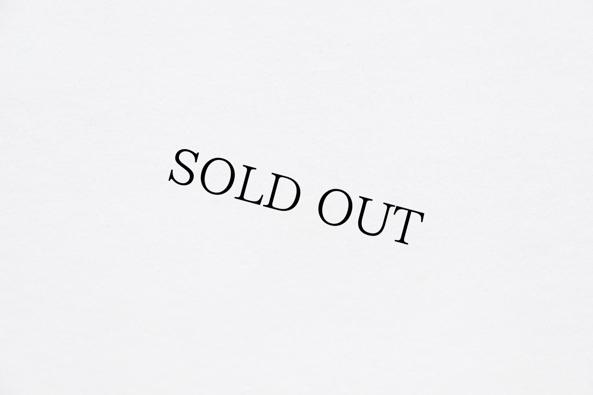 画像6: 90s USA製 RESPECT YOUR MOTHER EARTH DECADE 1990-2000 アート コットンTシャツ 白 L (6)