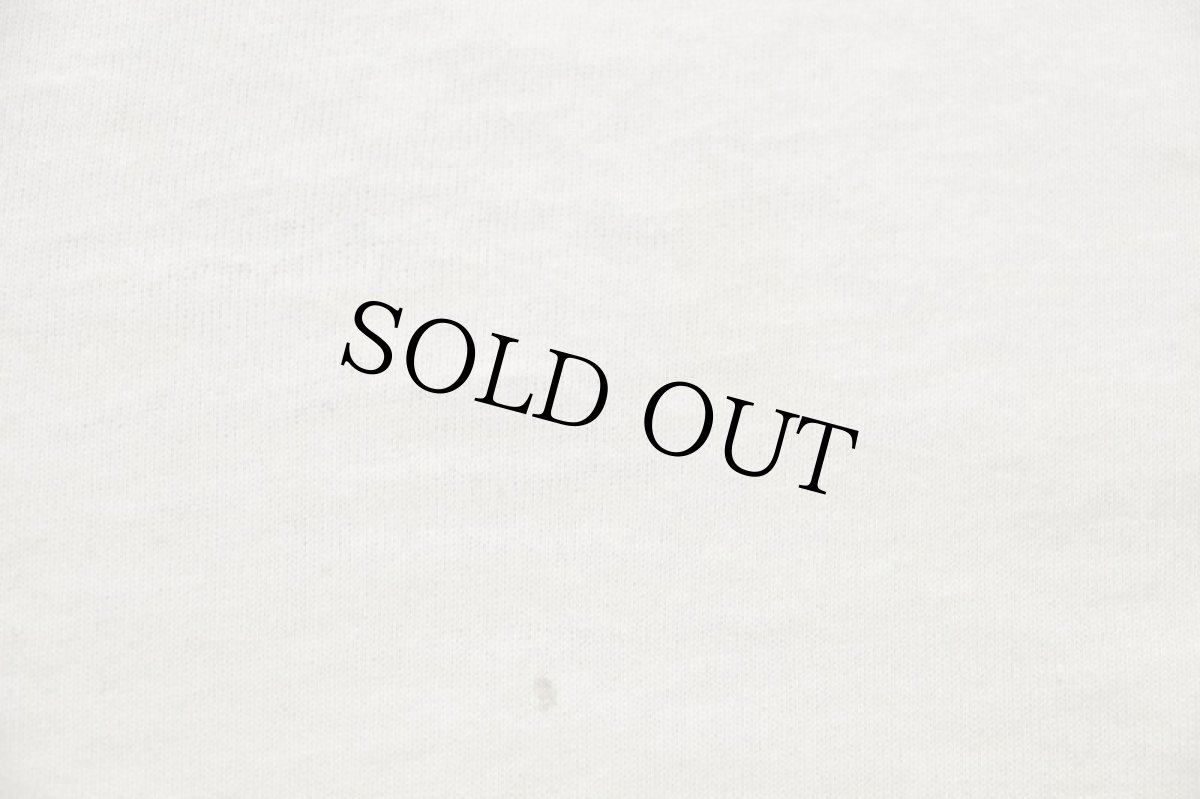 画像6: 80s USA製 MiLACA キャット 花柄 ぬいぐるみ バスケット アート Tシャツ ワンピース クリーム (6)