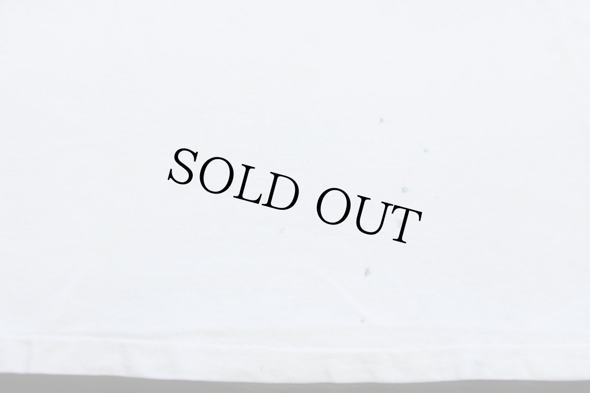 画像7: 90s USA製 Hanes Gardenfest COPPER アート コットンTシャツ 生成り XL (7)