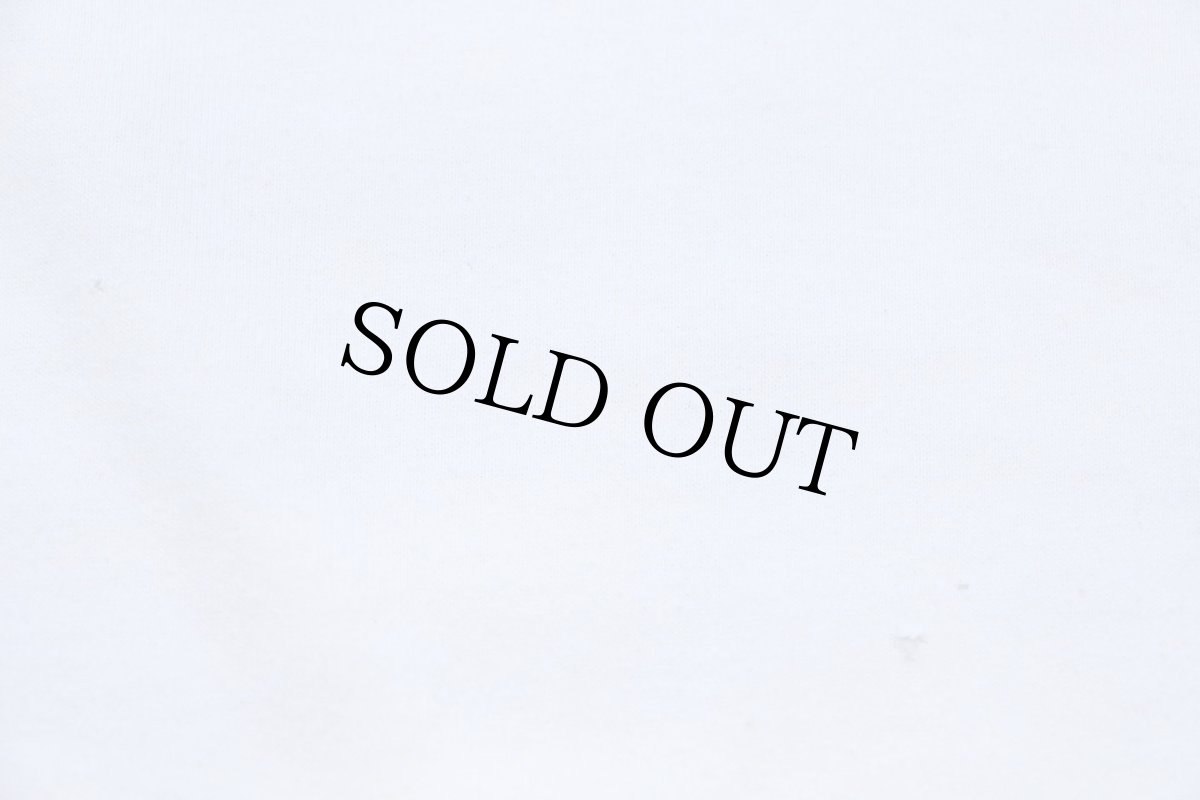 画像6: 90s USA製 Hanes SHRINE CIRCUS CATCH THE MAGIC フリーメイソン シュライナー サーカス ピエロ Tシャツ 白 XL (6)