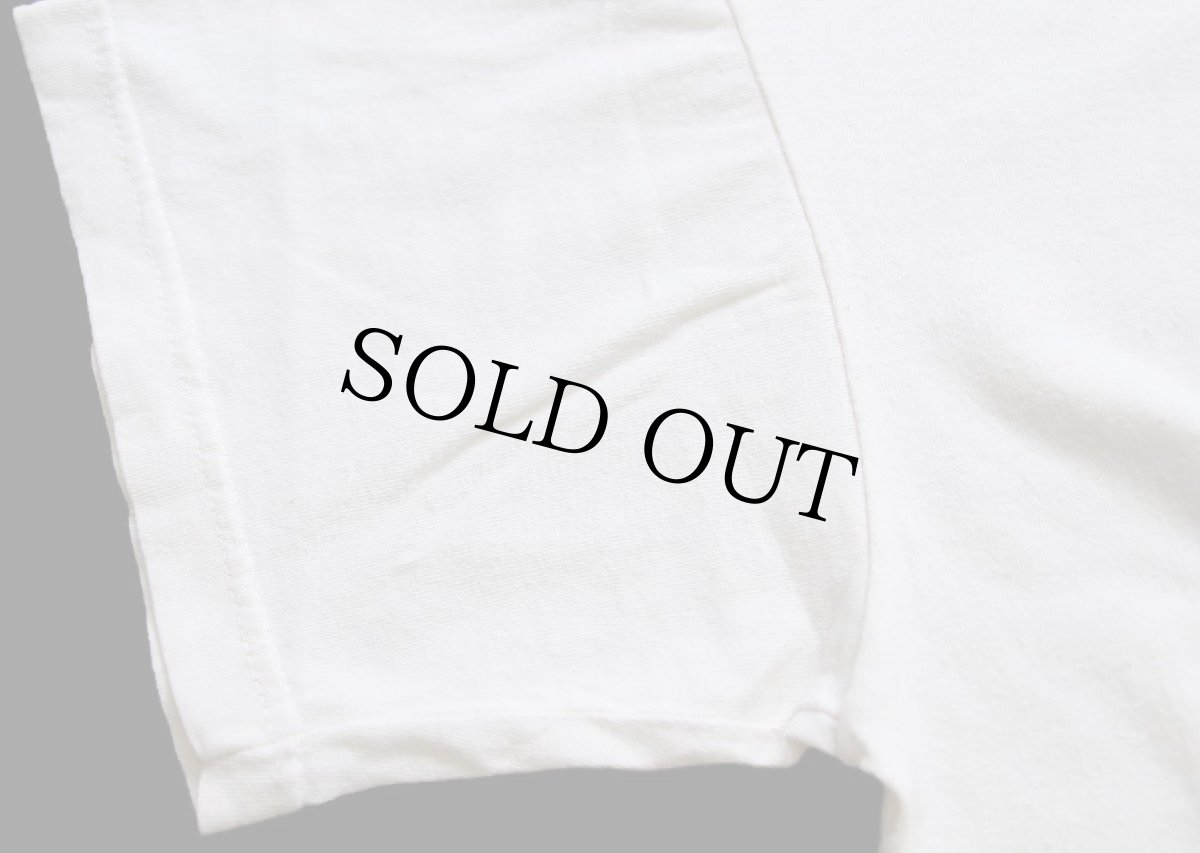 画像6: 90s USA製 patagoniaパタゴニア CHOOSE ORGANIC COTTON アート オーガニックコットンTシャツ 生成り S (6)