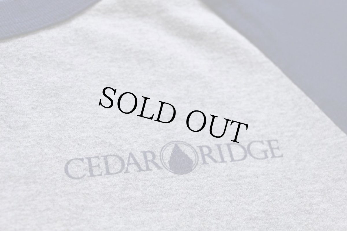 画像5: 00s CEDAR RIDGE STAFF ラグランTシャツ 杢グレー×紺 L (5)