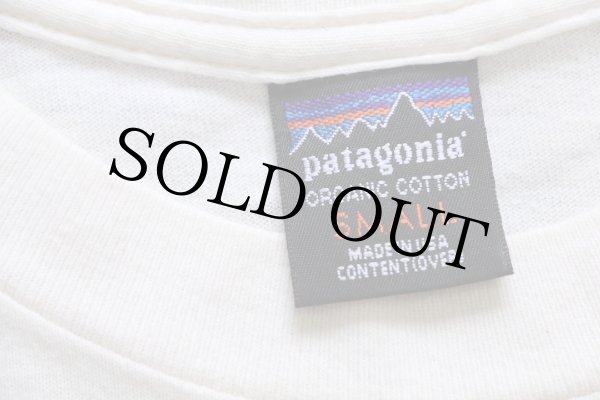 90s USA製 patagoniaパタゴニア CHOOSE ORGANIC COTTON アート