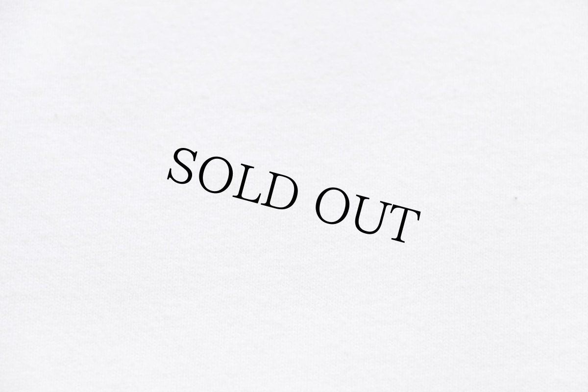 画像6: 00s YALE コットン リンガーTシャツ 白×紺 XL (6)