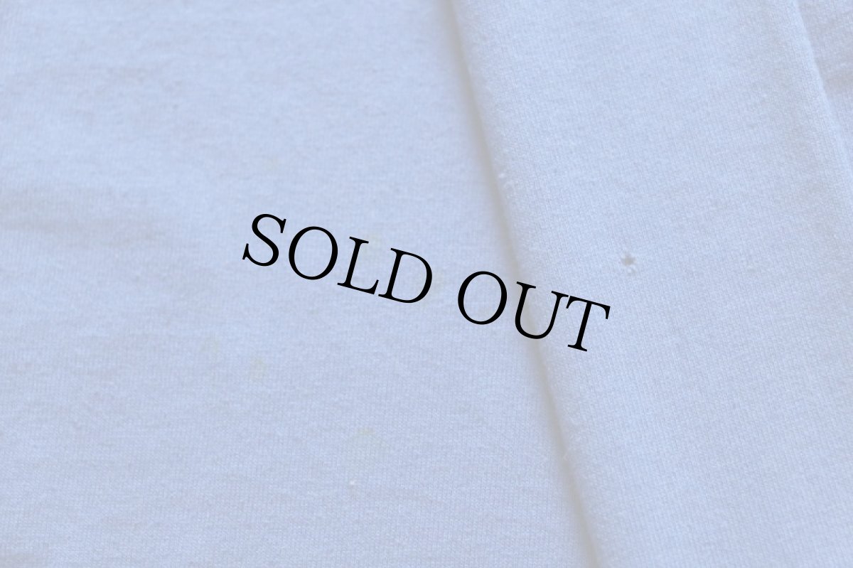 画像6: 90s USA製 DISNEYディズニー Mickey ミッキー マウス FLORIDA ひび割れプリント Tシャツ 青 L (6)