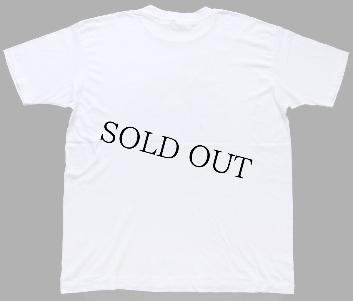 画像3: 90s USA製 Hanes Beagle ビーグル ドッグ アート Tシャツ 白 XL (3)