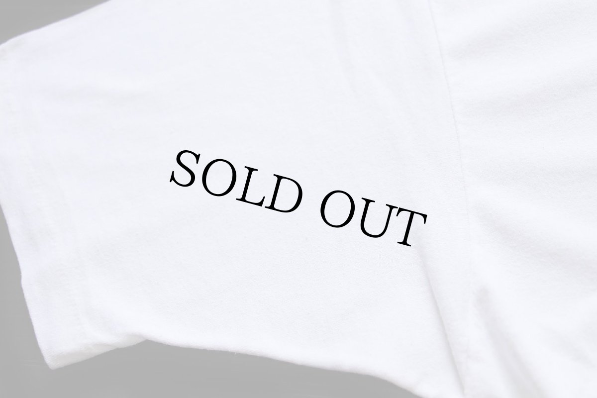 画像6: 90s USA製 Hanes Beagle ビーグル ドッグ アート Tシャツ 白 XL (6)