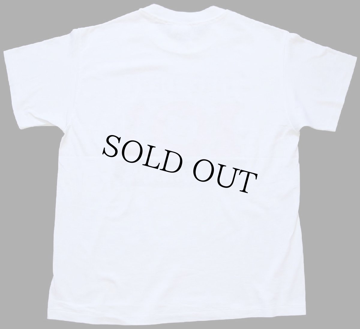 画像3: 90s USA製 Hanes FIRE DEPT. 101 DALMATIANS 101匹わんちゃん Tシャツ 白 L (3)