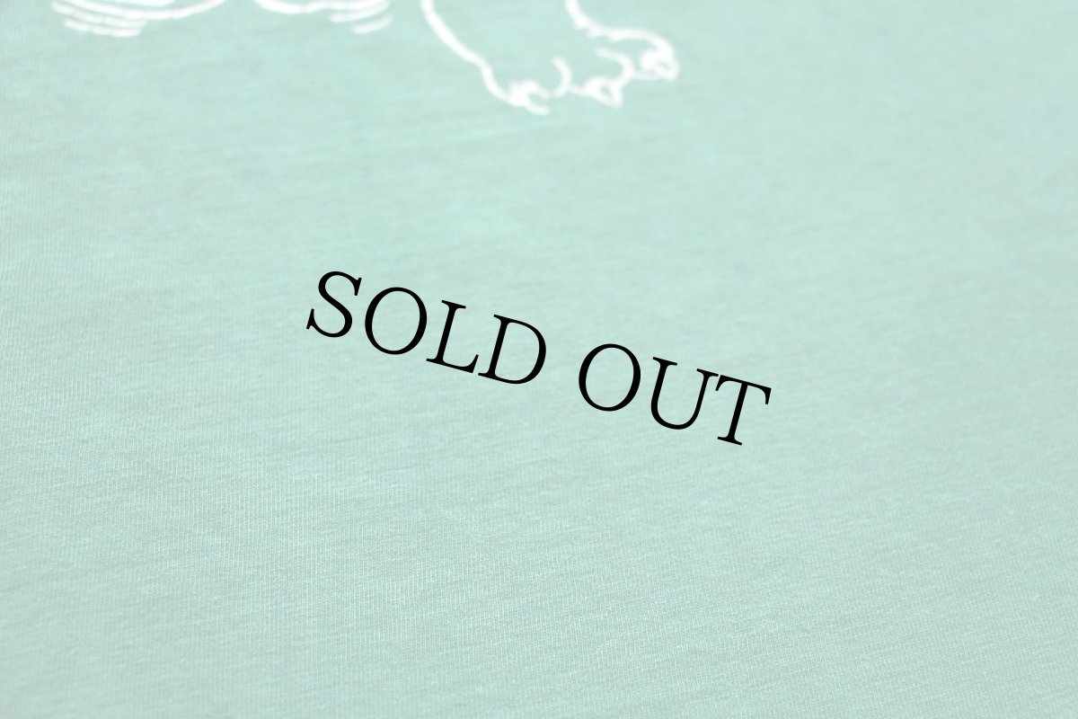 画像7: 70s PROVO ブルドッグ 両面プリント コットン フットボールTシャツ 緑 フェード (7)