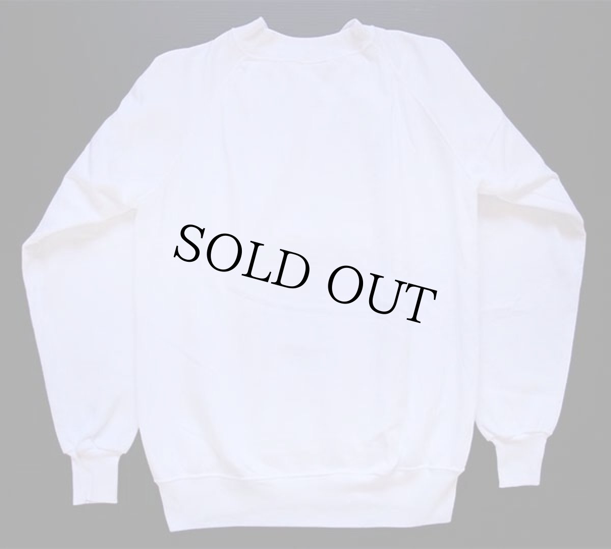 画像2: 90s USA製 Hanes NOT T.R.O.L.L.DUDE トロール 蛍光プリント スウェット 白 S (2)