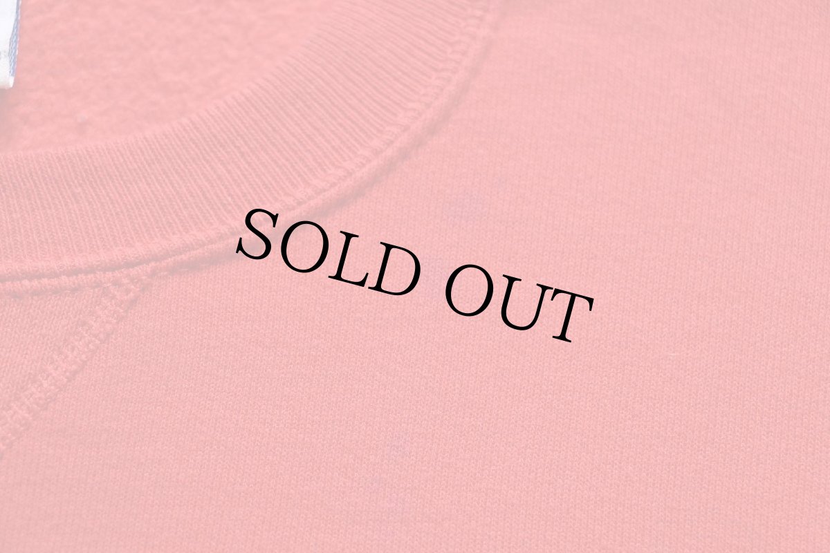 画像6: 90s USA製 RUSSELLラッセル 無地 前V スウェット 赤 M★ブランク (6)