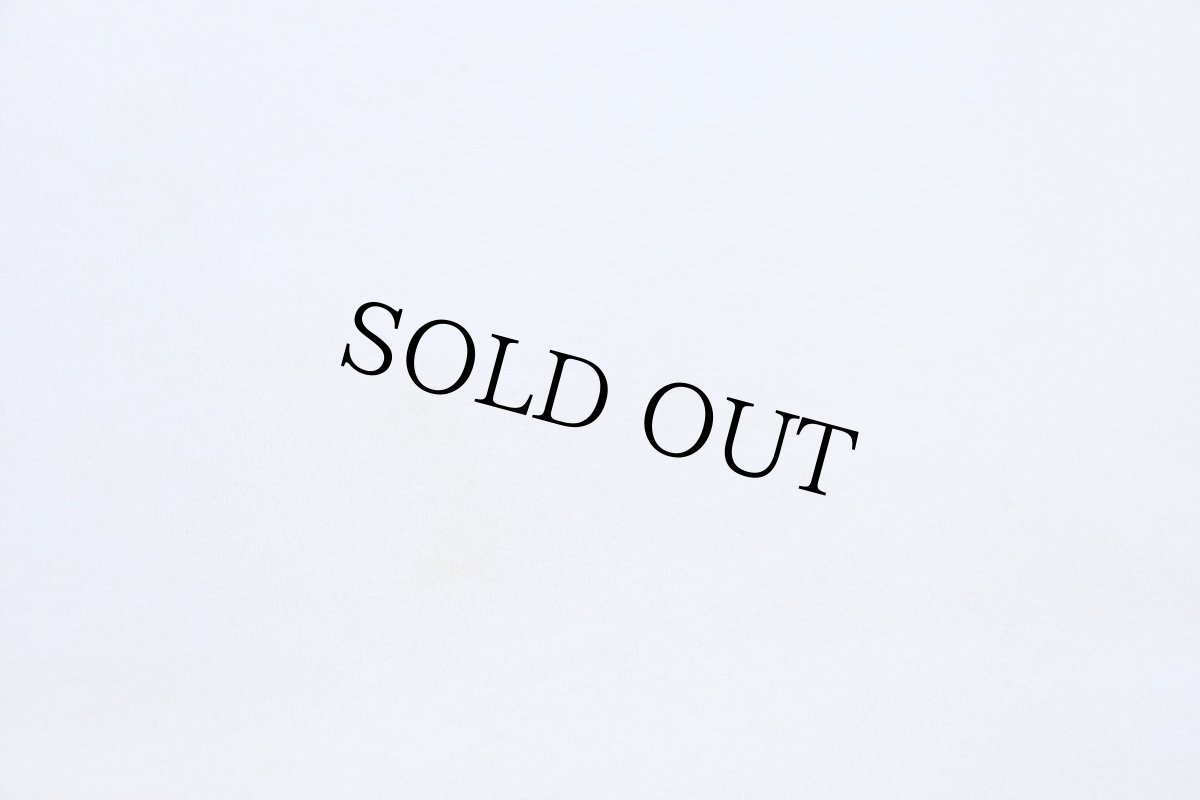 画像7: 90s USA製 RUSSELLラッセル 無地 スウェットパーカー 白 L★フーディー ブランク (7)